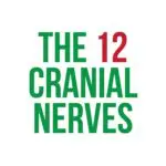 The 12 Cranial Nerves-Dysphagia Cafe Unplugged
