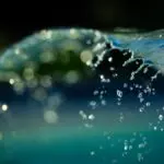 Free water protocol: For or against?