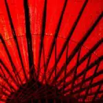 PO does not always equal quality of life: Reflections from a 104 year-old Buddhist Monk