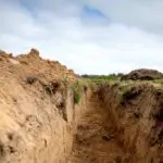 Dysphagia management in the trenches: Top Ten List