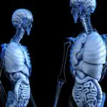 Expiratory muscle strength training as a treatment for airway protection