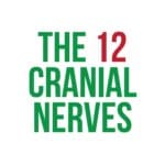 The 12 Cranial Nerves-Dysphagia Cafe Unplugged