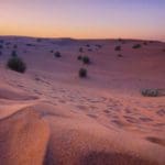 Xerostomia: Dysphagia's evil twin sister