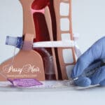 Deflating the Cuff for Speaking Valve Use: Impact on Swallowing,  Respiratory Function, and Mechanical Ventilation