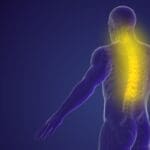 A Paradigm Shift in Dysphagia Rehabilitation